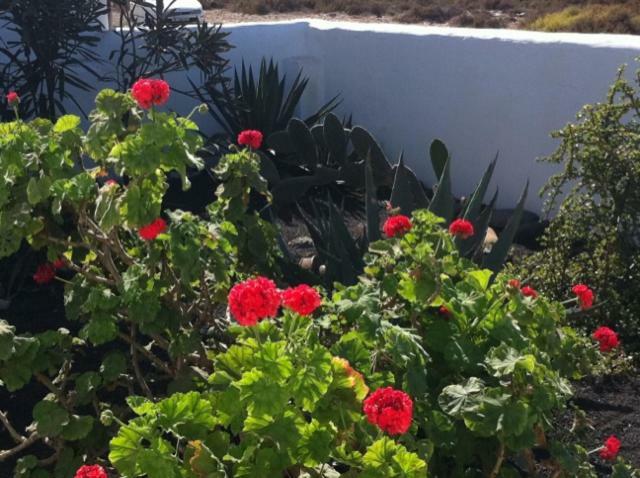 Casa Callao Famara Exterior photo